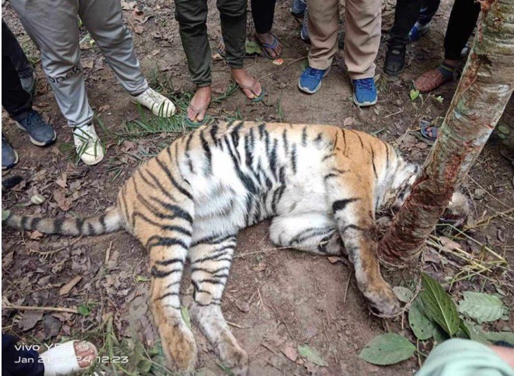 Xpose Trophy Hunting tweet media