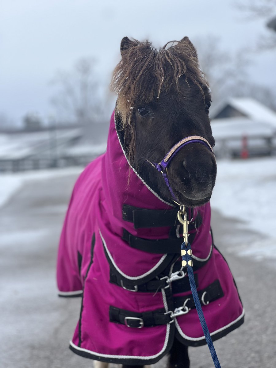 When it’s cold outside but you look so cute in your winter gear and have to show it off! 💕