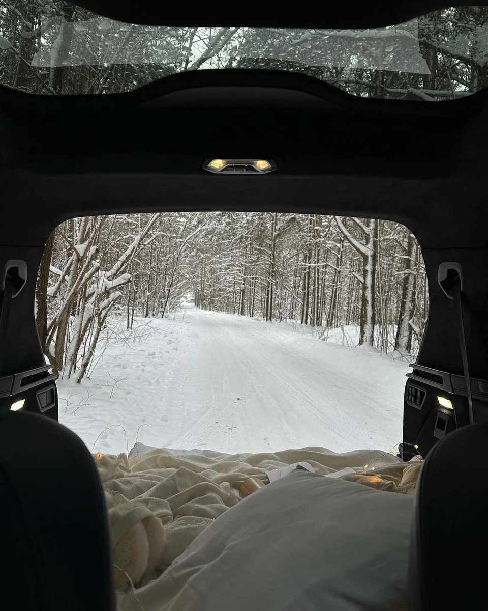Camping in the snow forest is my happy time☃️🏕