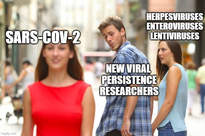 Alt text:
Image shows distracted boyfriend meme. Woman walking past is labeled 'SARS-CoV-2'. Boyfriend checking her out is labeled 'new viral persistence researchers'. Girlfriend looking disgusted is labeled 'herpesviruses, enteroviruses, lentiviruses'.