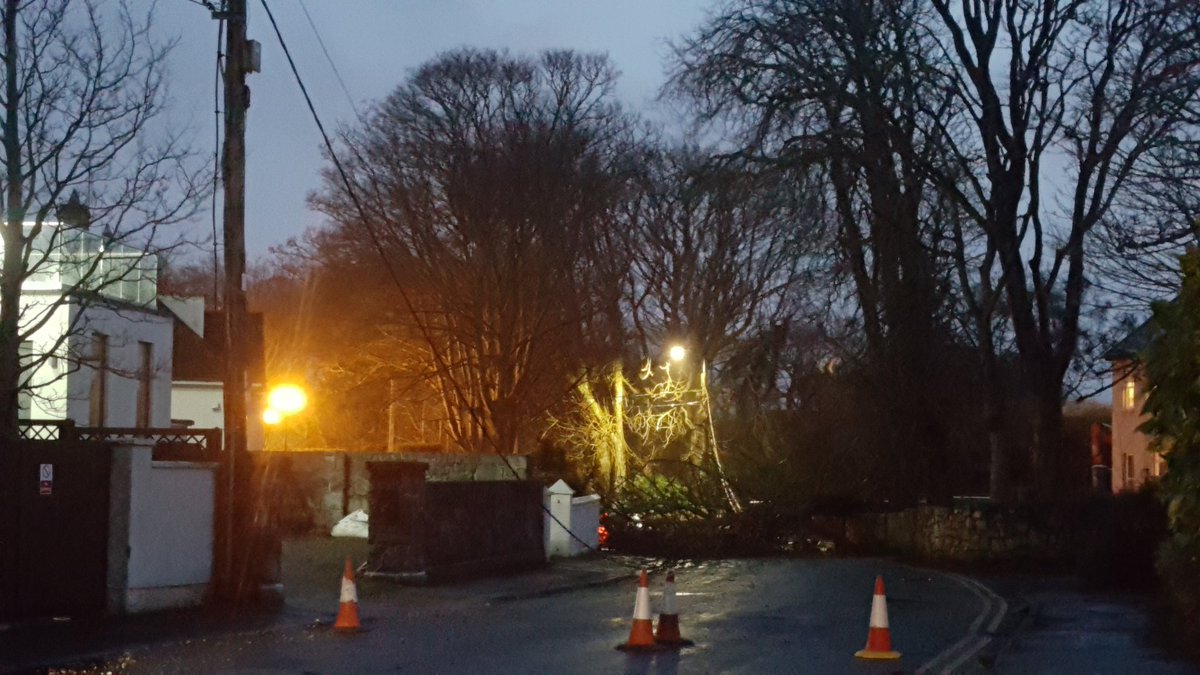 CocoGalway's tweet photo. Tree and wires down #rockbarton road near leisureland. Road completely blocked, danger of live wires. @GalwayCityCo @CTribune https://t.co/Ji97eLCjIq