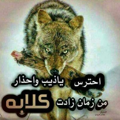 Dayanna Marcelha tweet media