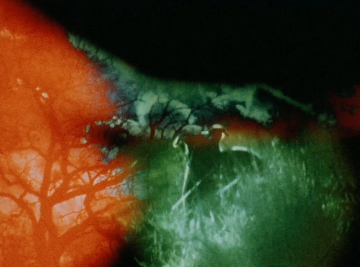 Beef is so excited to present, Darkness, Darkness, Burning Bright, a handmade and unique film by the analogue alchemist Gaëlle Rouard on Sat 3 February // 20:00 at the @CUBECINEMA 
cubecinema.com/programme/even…