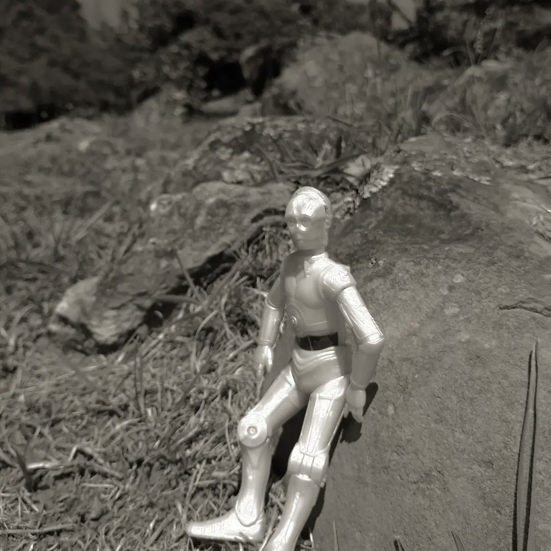 rat_radar's tweet photo. C-3PO. https://t.co/ecJ4ZVYMFN