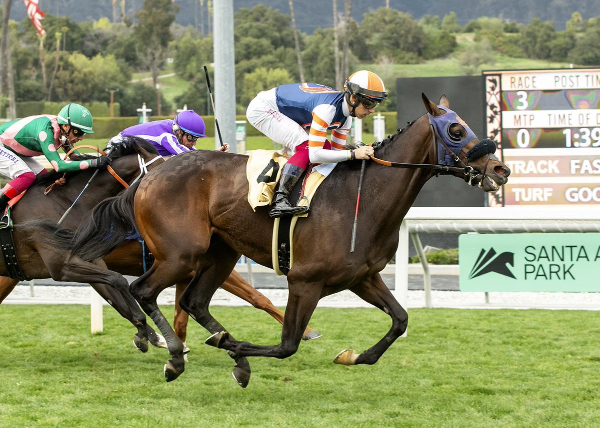 lrfracing's tweet image. Jockey @Antonio1Fresu jumped on the BANDWAGON, and won! 🥇

Congratulations to all the winning connections 🥂