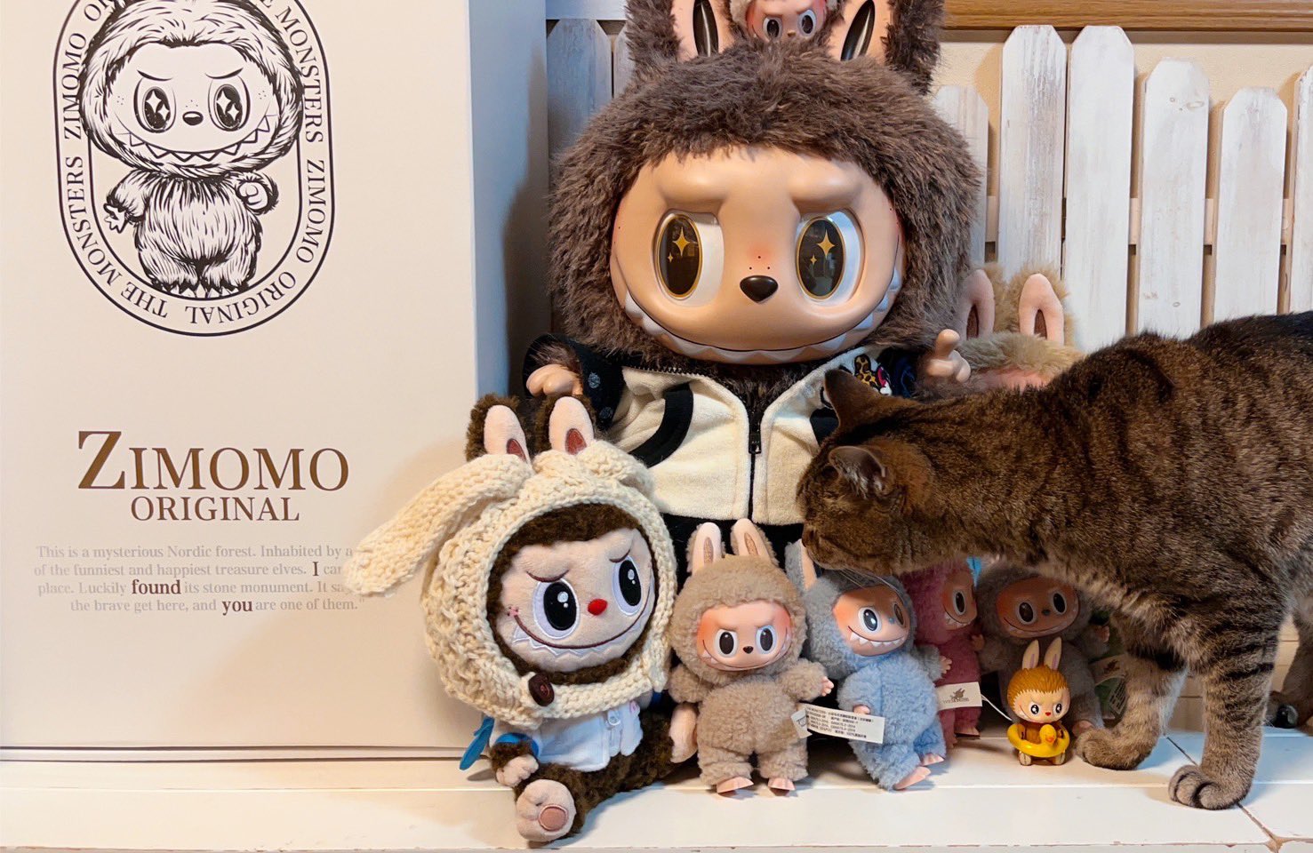 ZIMOMO I FOUND YOU Vinyl Face Doll