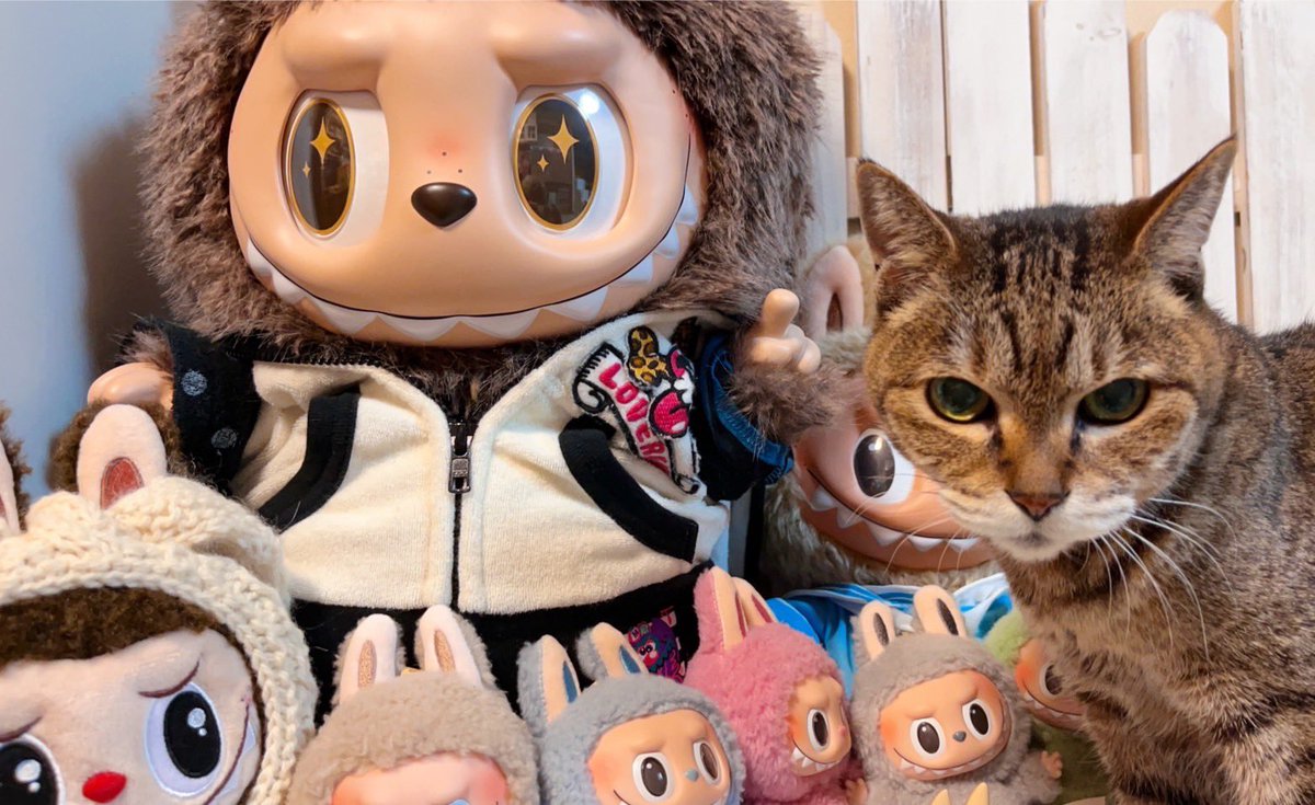 hucusukep's tweet photo. THE MONSTERS - I FOUND YOU Vinyl Face Doll
おネコ様同化
#LUBUBU
#GIMOMO
#POPMART大好き https://t.co/F1lZ7CjCOU