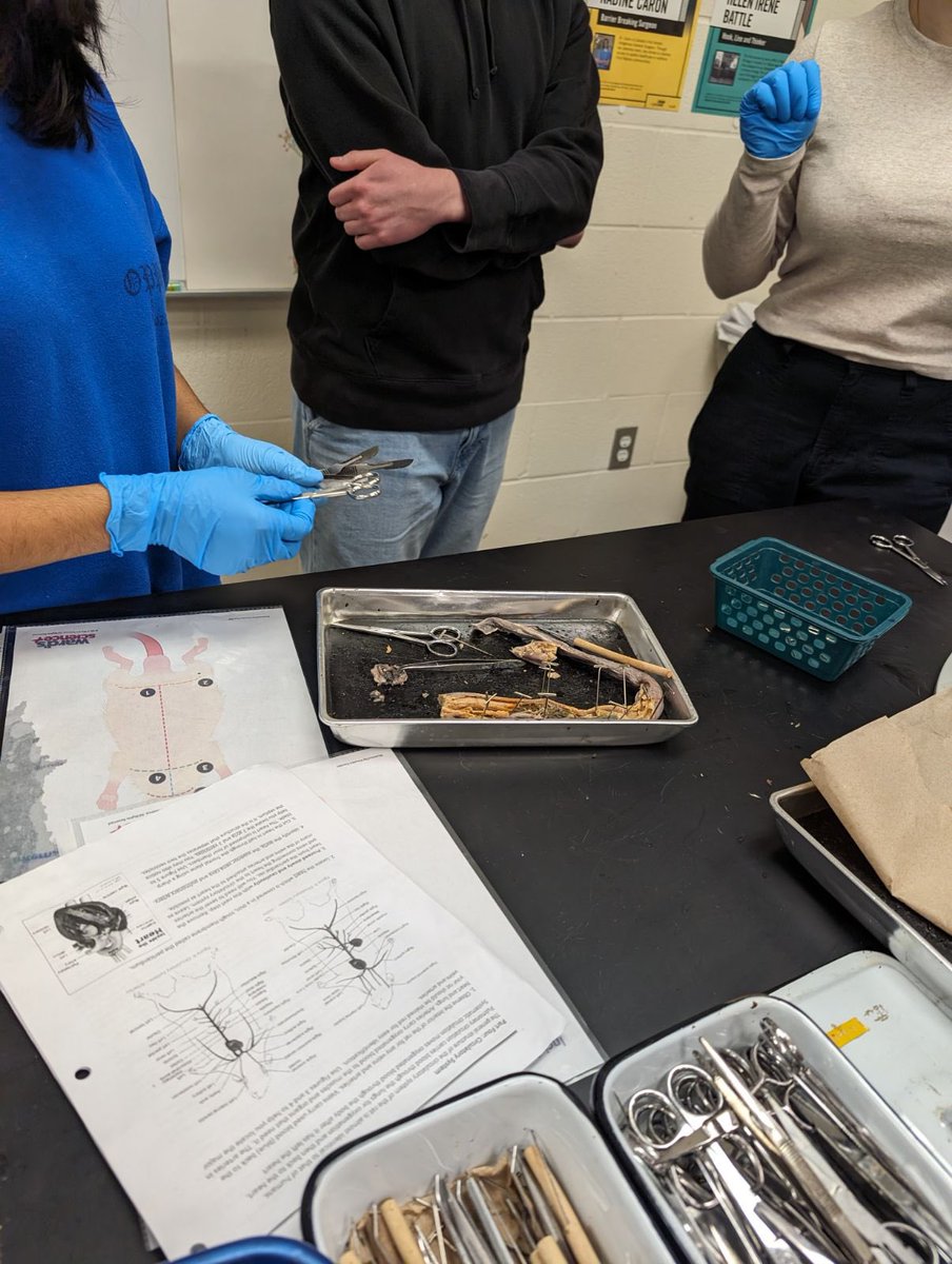 Bioclub dissecting a hagfish … just for fun!