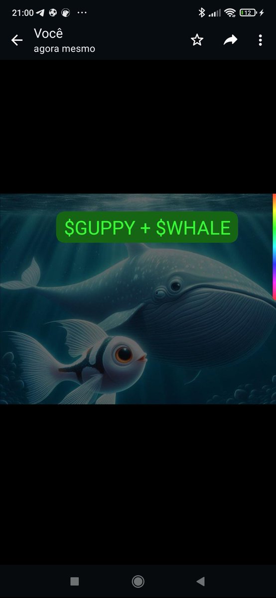 DRGeorgeCampos's tweet photo. Two #Cosmosecosystem #lowcapgems, $GUPPY + $WHALE
#memecoins
#Solanaseason #Ethereum #SeiNetwork #injectivenetwork https://t.co/97LxTTKDZv