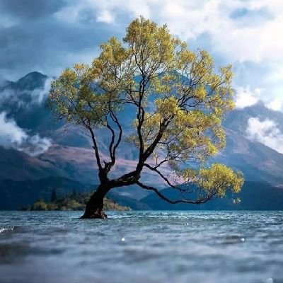 willberto99's tweet image. Graphics design, Video Editing, Digital Invitation.