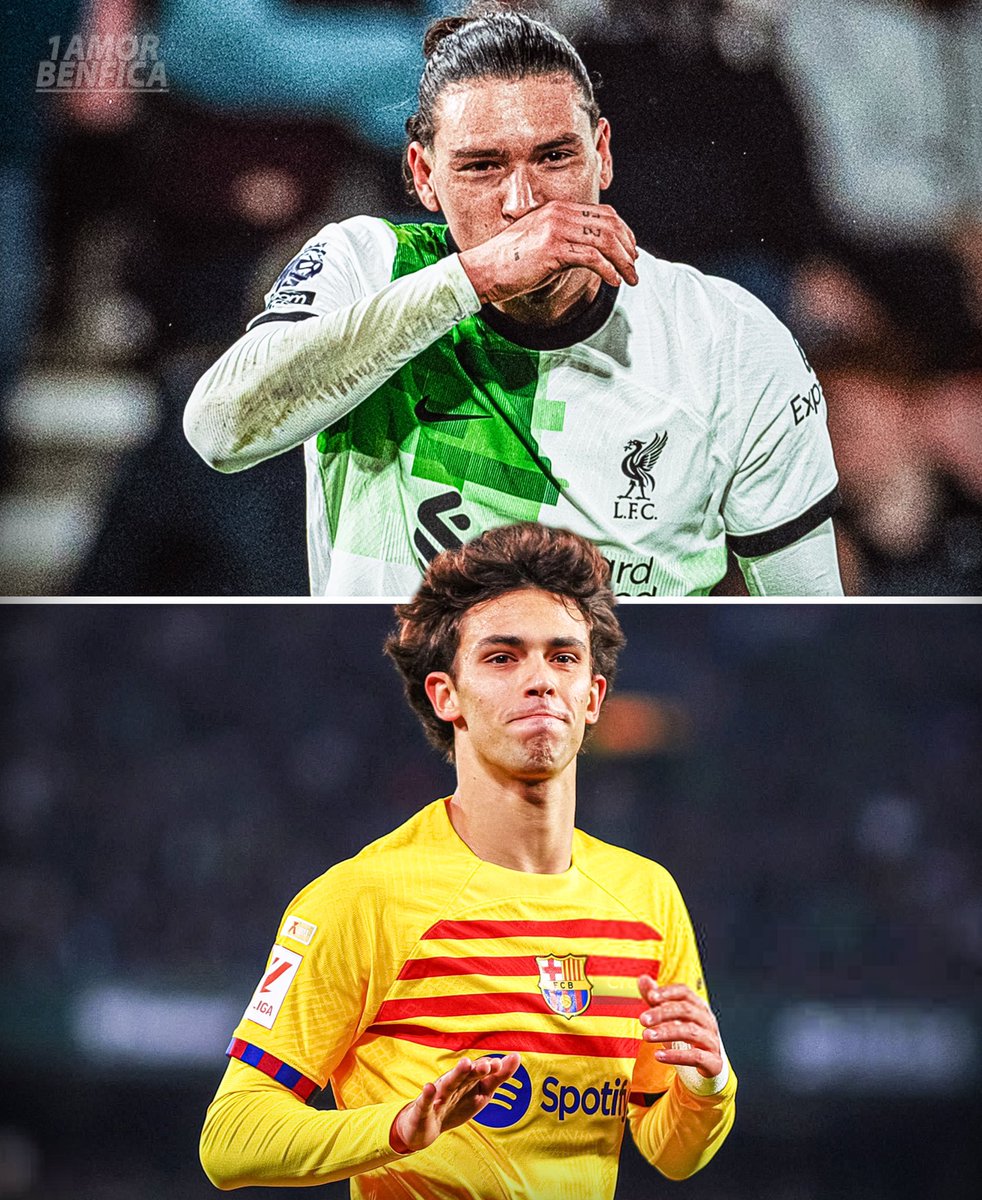 Com Flops destes fica fácil ! 🤷‍♂️