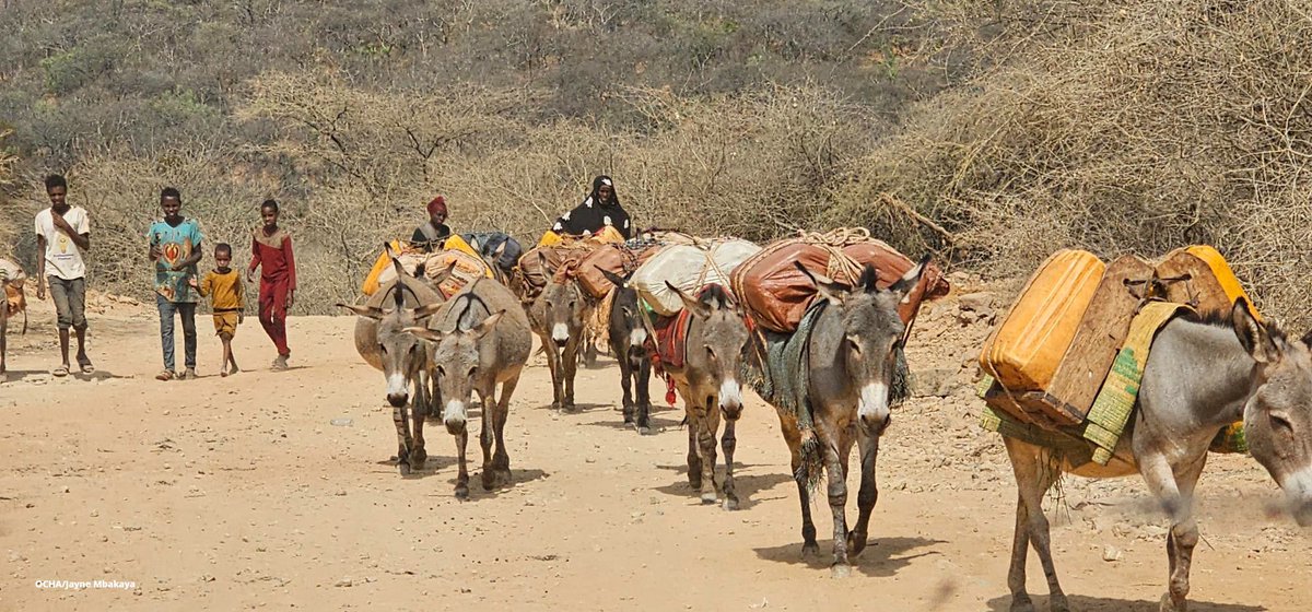 SeifGebre's tweet photo. .@UNReliefChief says “the drought in #Tigray is hitting communities hard, especially those yet to recover from two years of genocidal war…Time is of the essence. We have a short window of opportunity to prevent further deterioration with more funds and an urgent scale-up of the response.”

@PowerUSAID @WFPChief @JanezLenarcic