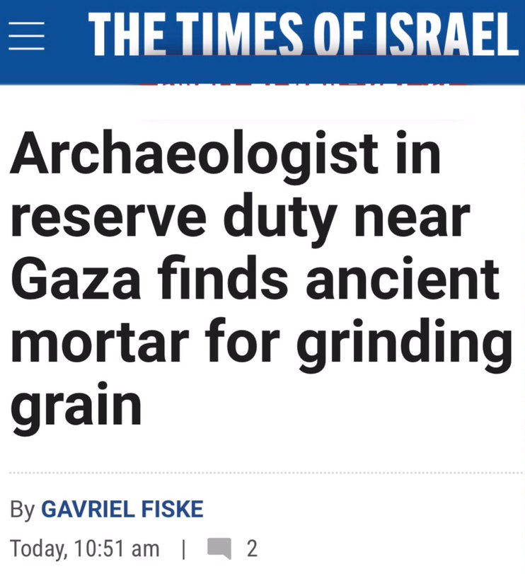 Falastin Flip tweet media