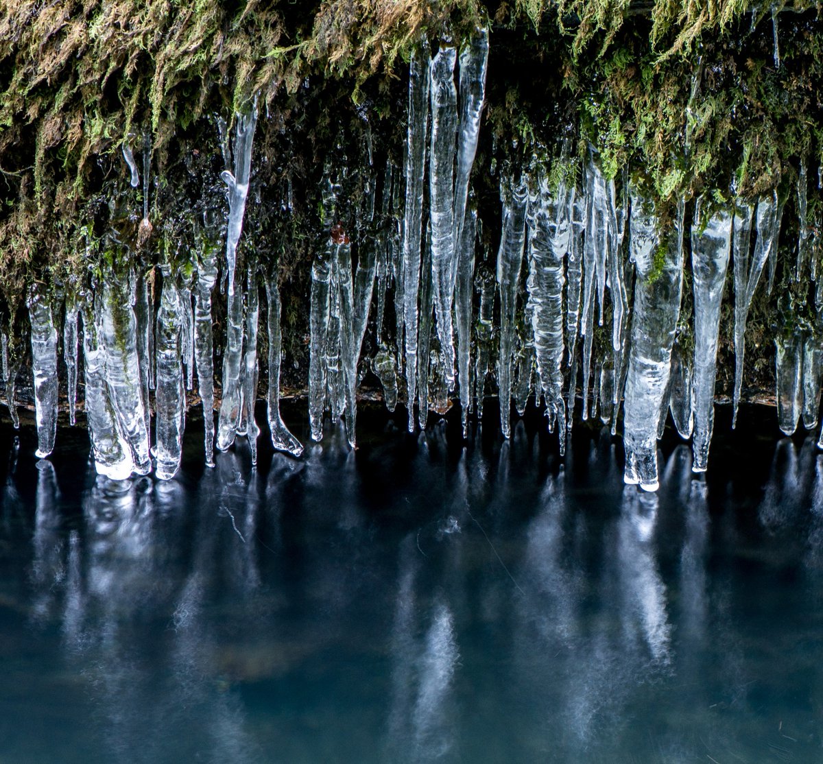 Ice Ice Baby. Photo: Lydford Gorge, Devon.