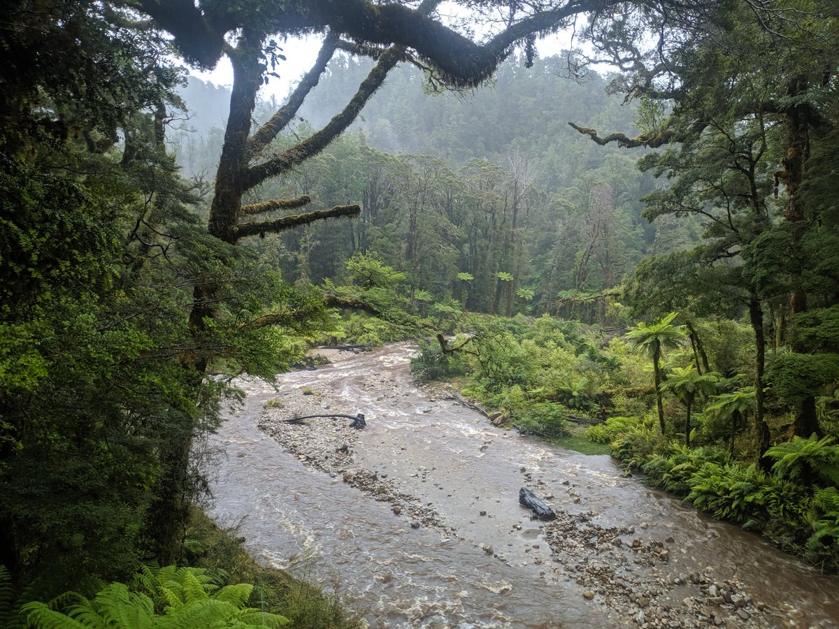 Bridget White tweet media