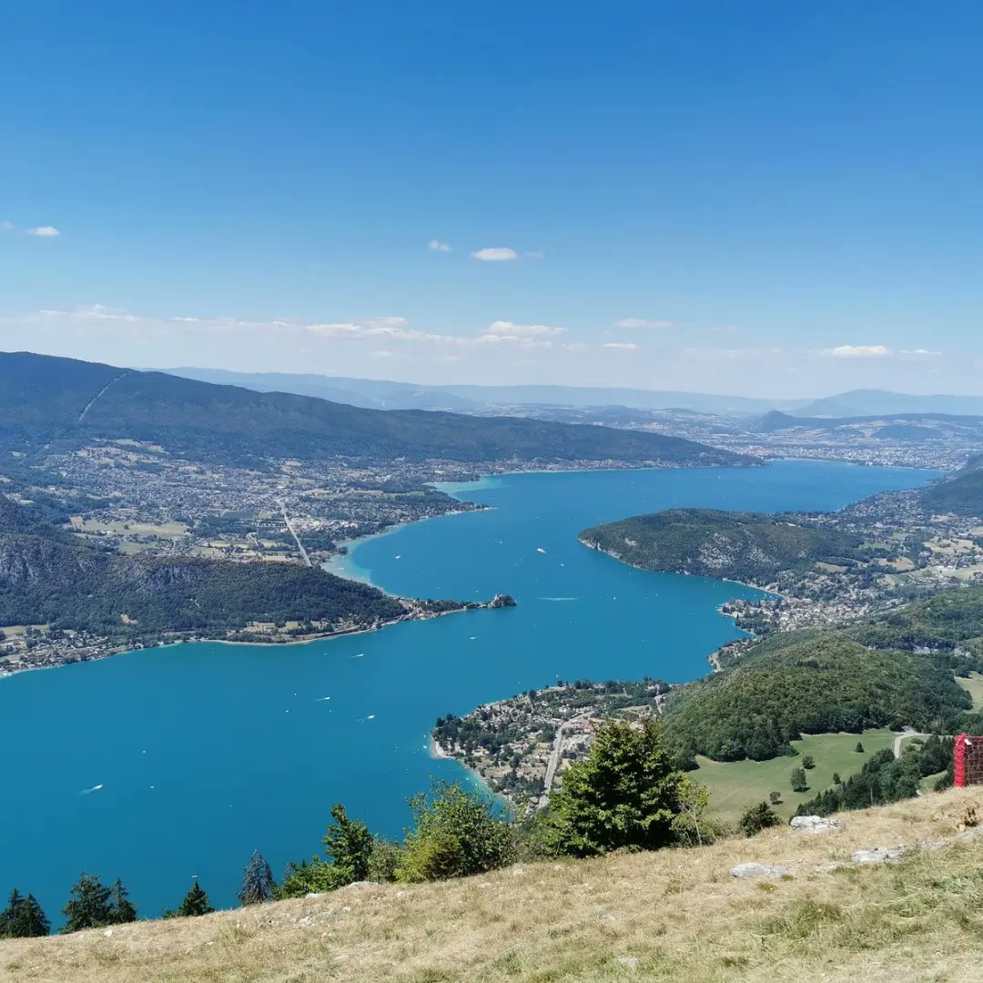 Ride and Glide 🤔😉

Cycling trips to Lake Annecy put the plus into 'Sporta Bike plus'

#rideandsmile #Plane2pedal 

#cyclinglifestyle #cyclinglife #bikeaddict #bikelife #biketravel #travel #roadcyclist #fromwhereiride #outsideisfree #alps #Annecy #paragliding #clubcycling