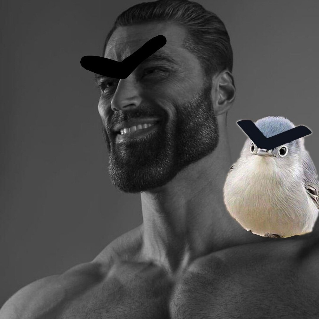 DeFilantropist's tweet photo. @GoodBoyzCrew It's all about the brow
$BiB #BirdIthBrows https://t.co/nlADBDbqsS