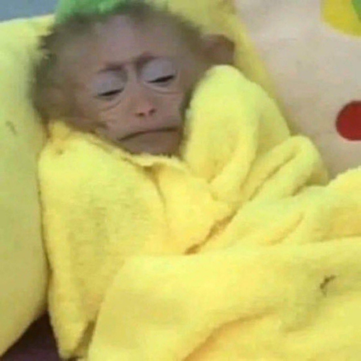 Y2SHAF's tweet photo. nothing breaks my soul quite like a failed nap attempt https://t.co/2pwWsU21Ns