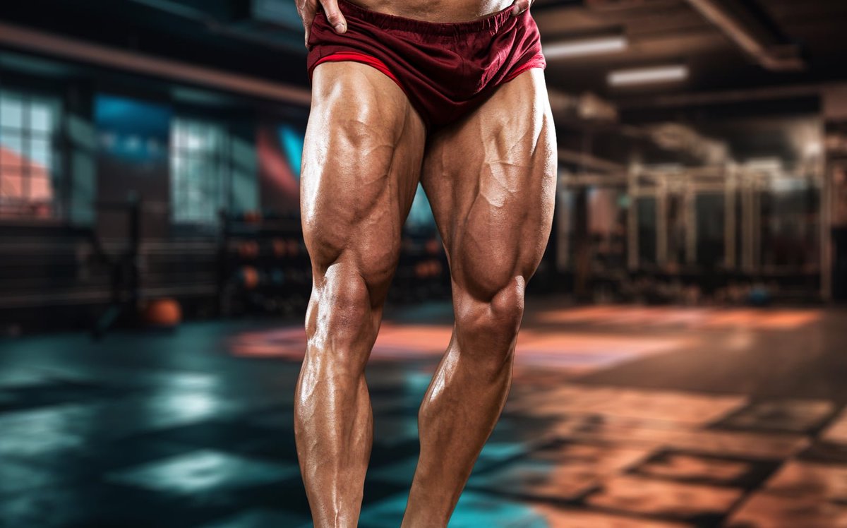 joaoscar_'s tweet photo. 5 MELHORES EXERCÍCIOS para CONSTRUIR PERNAS GRANDES e DEFINIDAS sem SAIR de CASA!

Com apenas um HALTER ou um OBJETO PESADO! https://t.co/k6lOqDKh1W