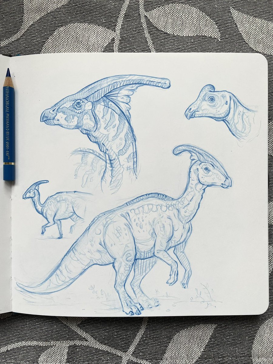 sabiillustrates's tweet photo. More dinos 🦕 
#sketching #paleoart https://t.co/87TR7UFptt