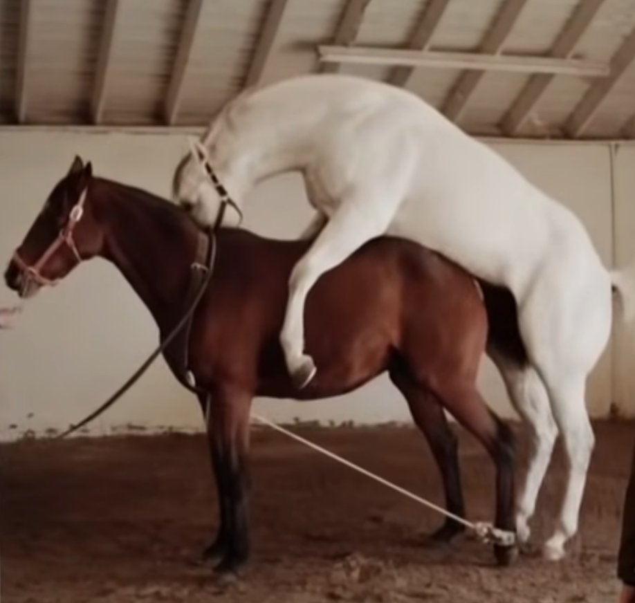 According to rumor, a Rings of Power Season 2 episode will show us the origin of Shadowfax
#TheRingsOfPower