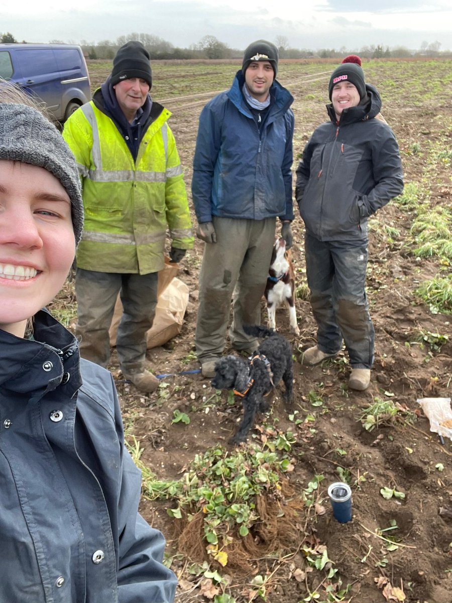 A family day on the field. With orders stacking up the family came in to help us get things done. A day of lifting different #strawberry varieties. #growyourown #ukallotments #ukfruitplants mooreberries.co.uk