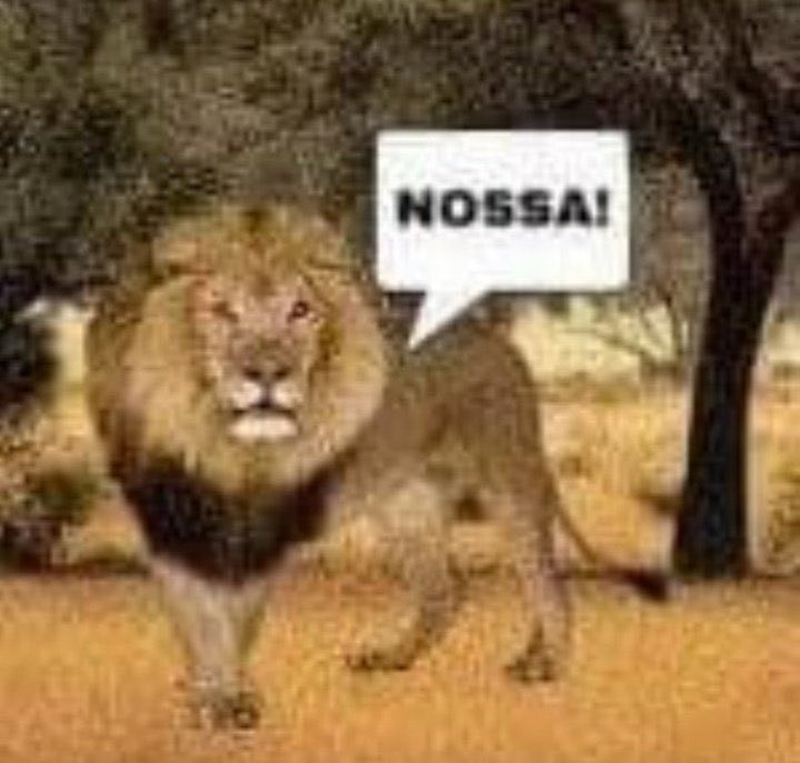 Predaum13's tweet photo. @naoversozinho @templaca https://t.co/xYnRy7h9nv