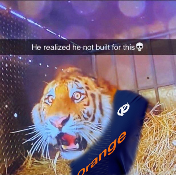 ajazz_lol's tweet image. KC fan after seeing the worst game in esport history
#KCORP #KCWIN #karminecorp