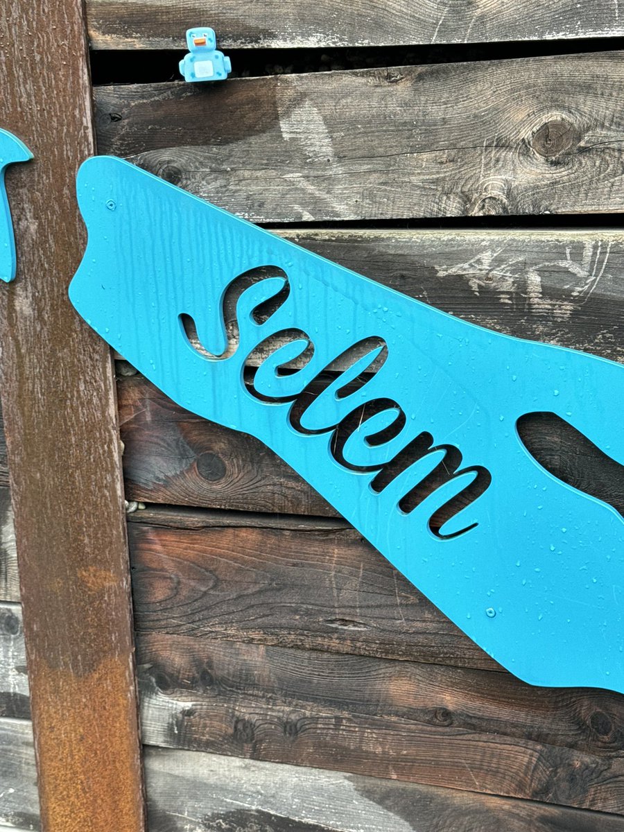 duttonmonkeys's tweet image. Sent my dad and sister to play some hide and seek while I stayed home with my little monkeys but hey go ducks💚💛 #monkeyshines2024