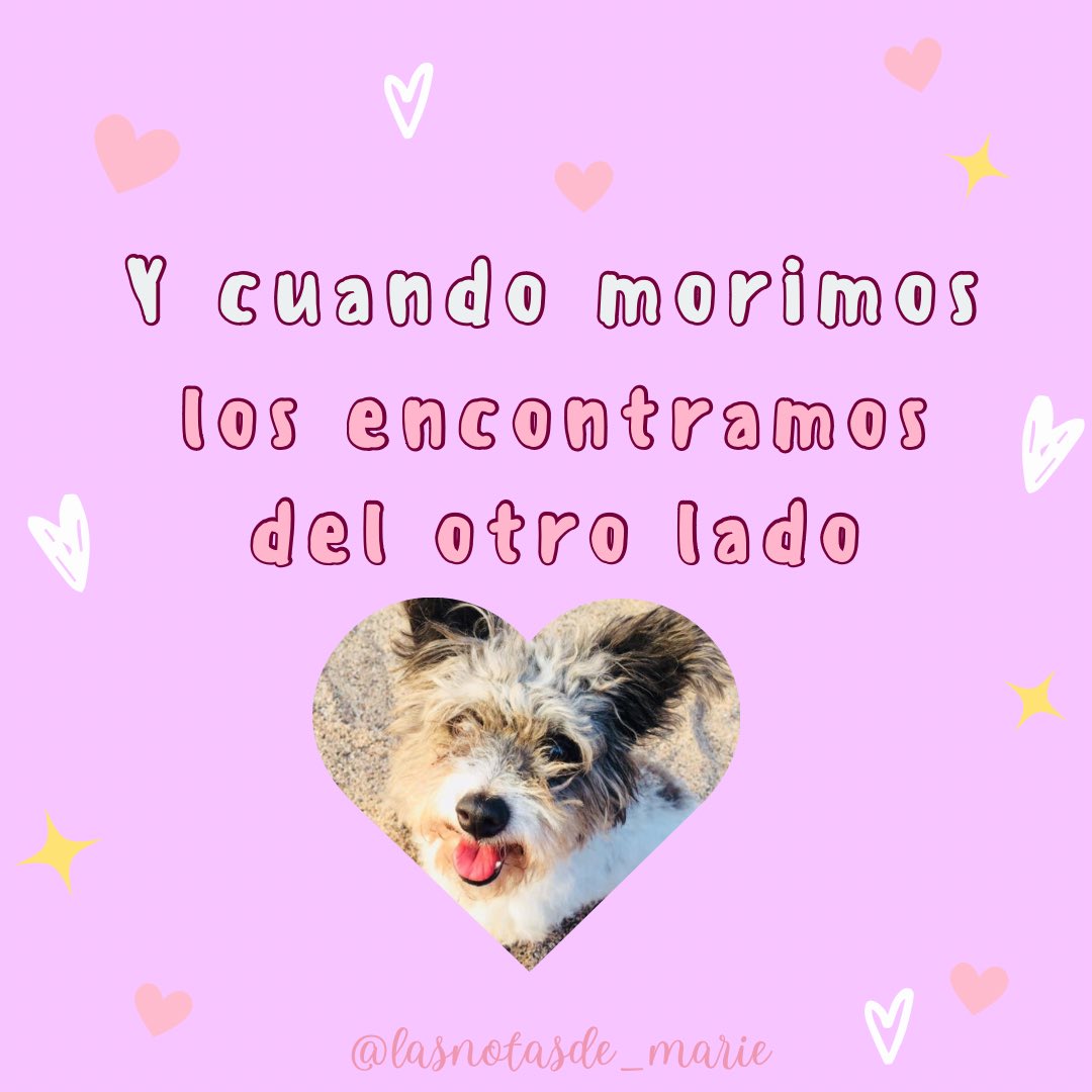 No sé si tú crees que así como hay un cielo para las personas que amamos , también hay uno para las mascotas que perdemos. Y cuando morimos los encontramos al otro lado 🌌 🐶🌤️🌈
Espérame al otro lado Kimora 🐶🌈🌌🥹📝
#dogslover #mypet #writersoftwitter #escritos