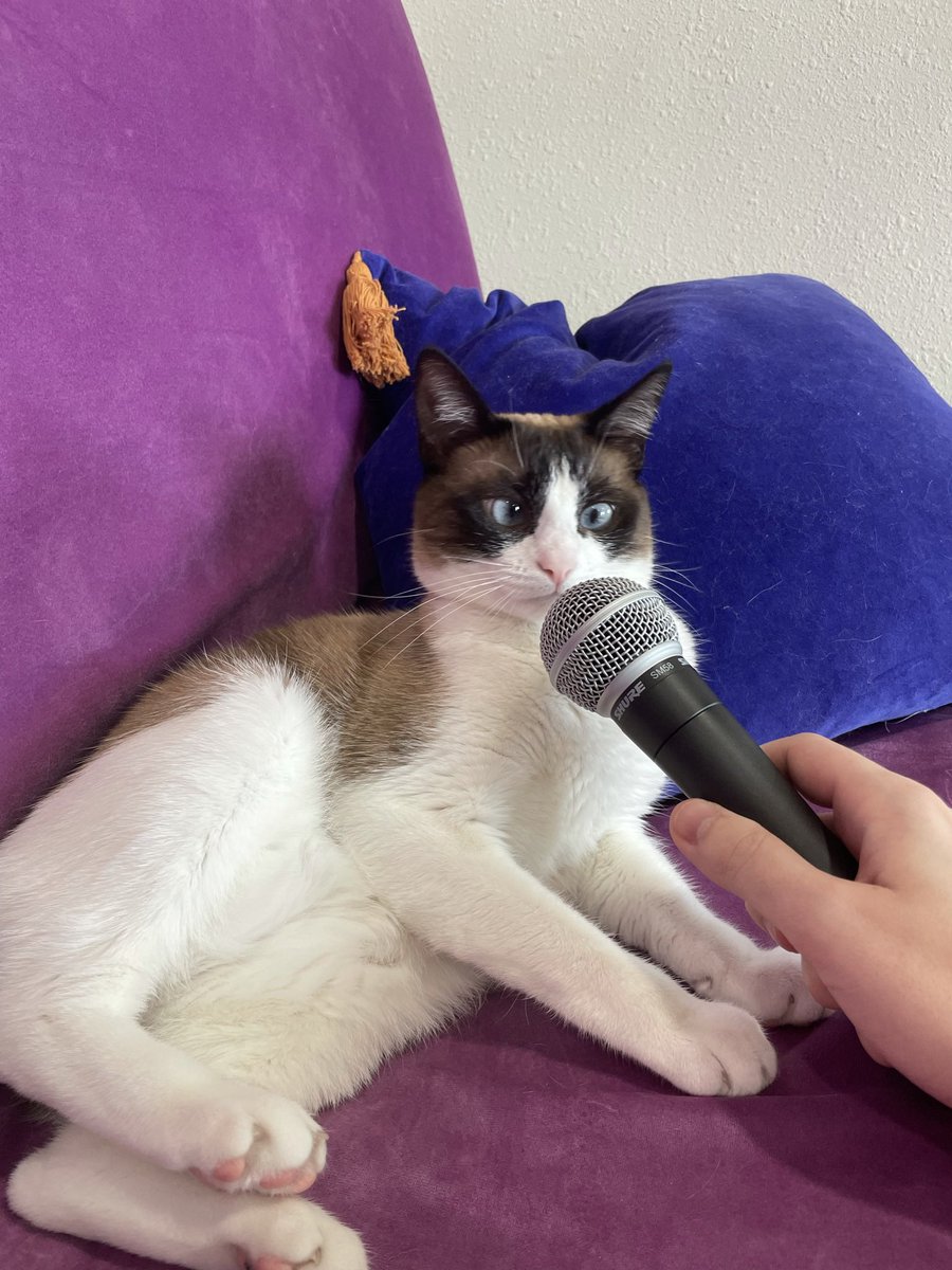 coleajenkins's tweet photo. Meet my little gremlin named June, who voiced this street cat in #TheLastofUsPart2Remastered! Shout out to sound designer Chris Delgado for bringing this into the remaster. https://t.co/bYGrNzfzyf