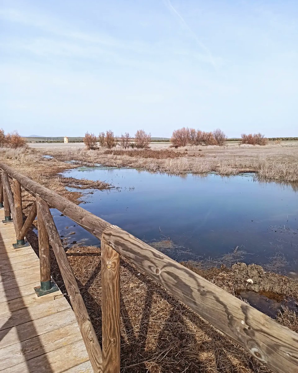 Laguna de Fuente de Piedra #fuentedepiedra