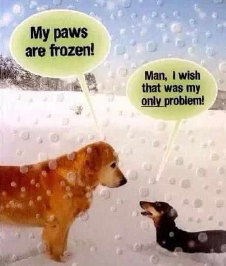 Brrrrrrr out there. ❄️I have more room to avoid the deep snow now. Protect my jewels.