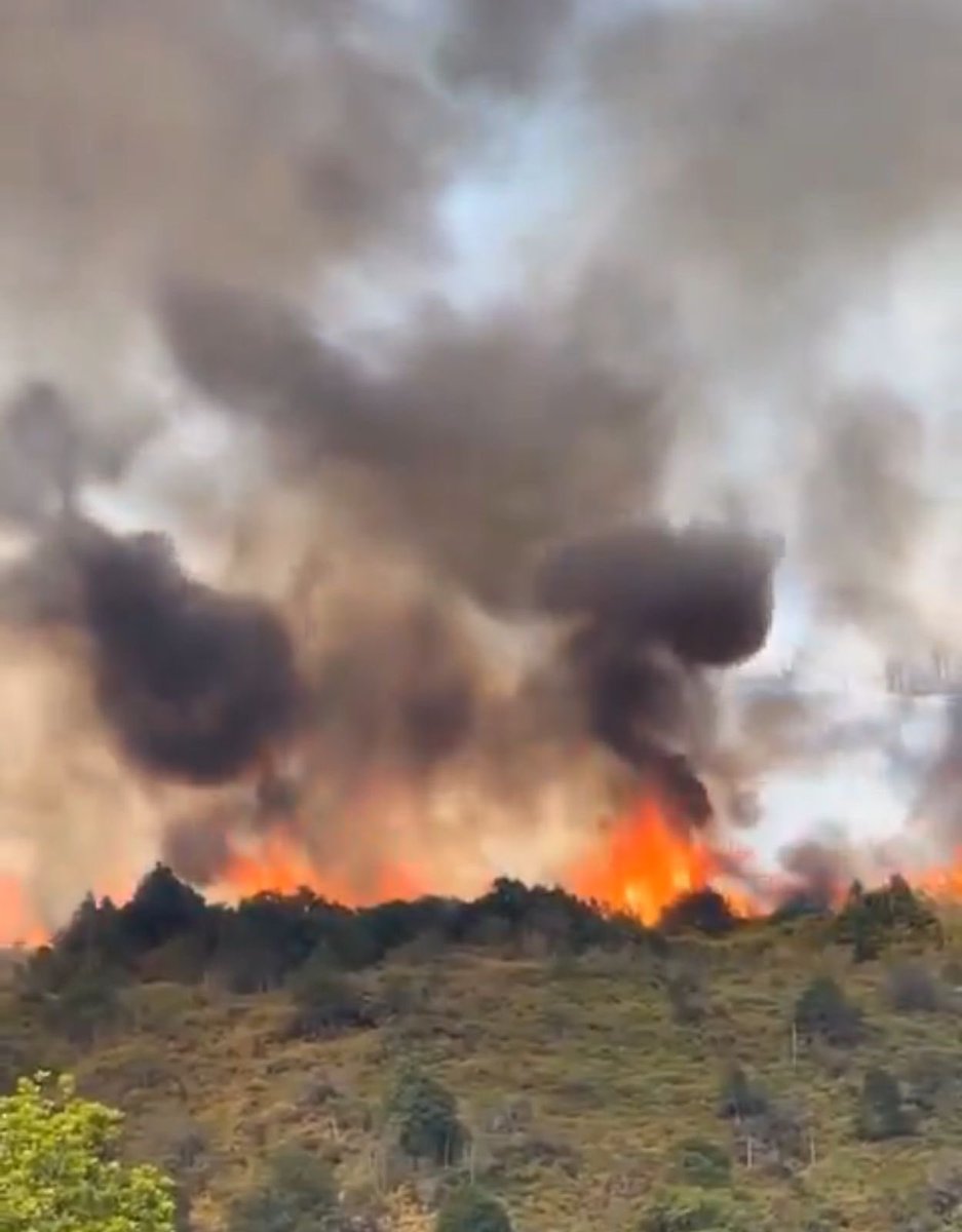 Gloria Flórez Senadora tweet media