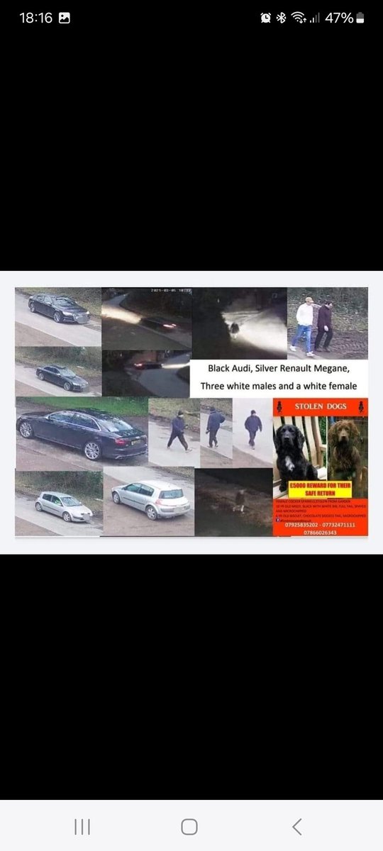 All we need is 1 person to identify these people/cars 
We need answers. It's coming up to 3 yrs in March &amp; we won't stop fighting. They are old &amp; no use for breeding so please let them come home to their family #FindMissyandBiscuit #PetAbduction
<a href="/Anna_Firth/">Anna Firth</a> <a href="/jogideon/">Jo Gideon</a>