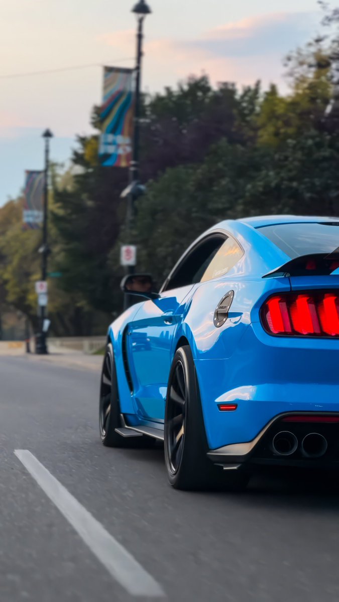 Grabber Blue GT350 🥶

#viral #cars #carlovers #carlove #carlifestyle #carculture #ford #fordperformance #fordmustang #fordnation #mustang #mustanglife #mustangnation #mustanglovers #mustangaddicts #mustangshelby #mustangclub #mustangsociety #musclecars #musclecarsdaily