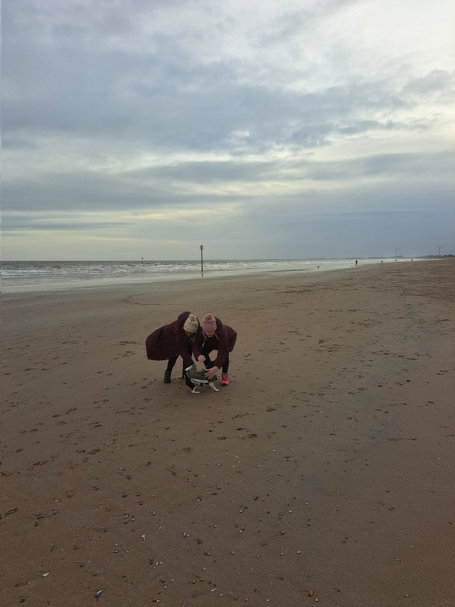 SarahSeaman8's tweet image. Breezy walk along the beach
#healthyselfie
@staynorHprimary @MrJeff85