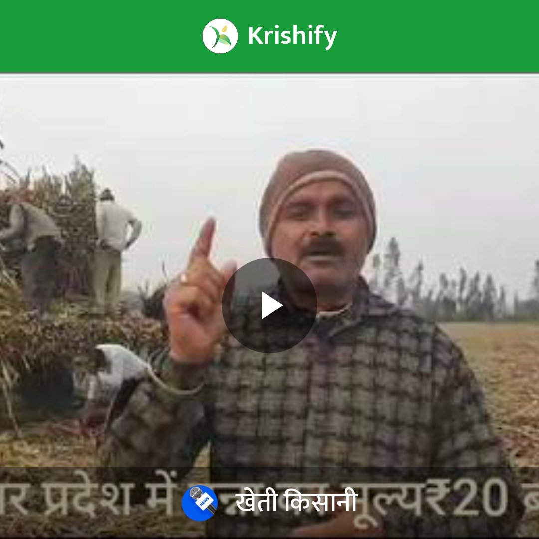 AnjaniDixit16's tweet image. krishify.in/aemOnOrjN
#Krishify