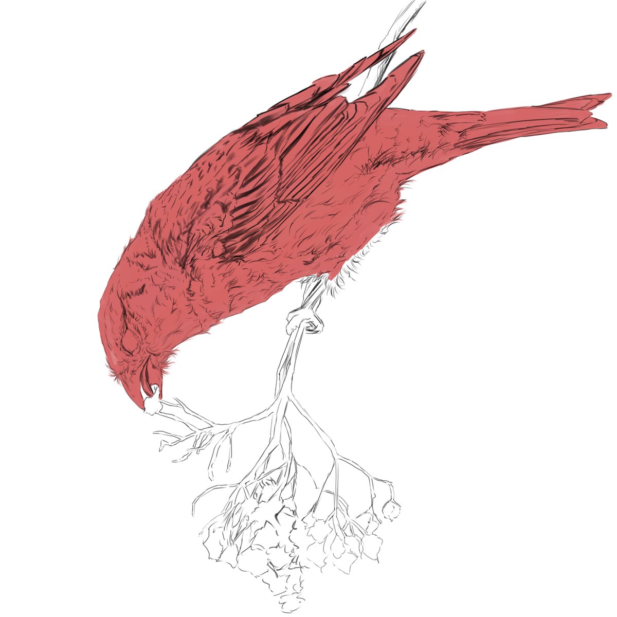 WIP 🐦
