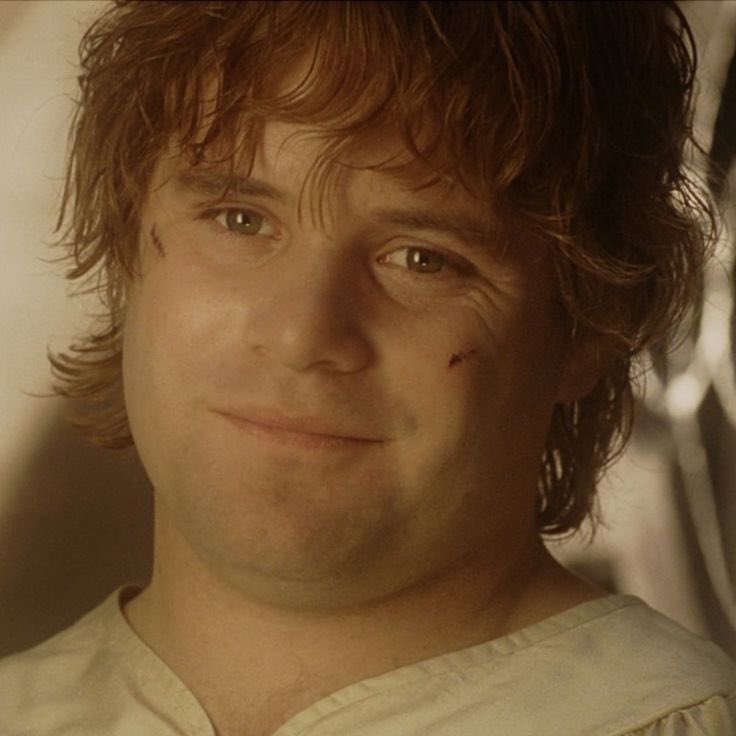 ToIkienverse's tweet image. “Hay algo bueno en este mundo, señor Frodo y vale la pena luchar por ello.” — Sam