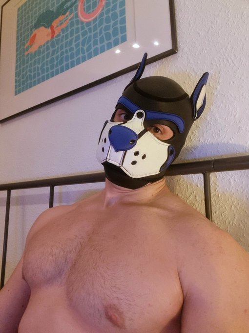 Hairy me? 😊 https://t.co/TTtWWGoEMs<a href="/tag/snaxberlin"class="tags"><span>#snaxberlin</span></a>