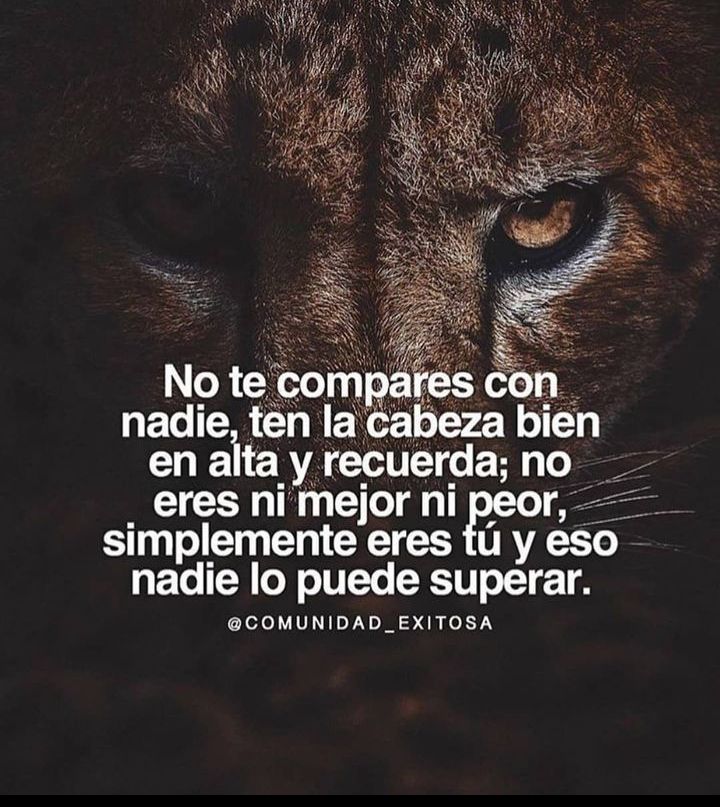 Ivan Cdh (@deimos40635639) on Twitter photo 