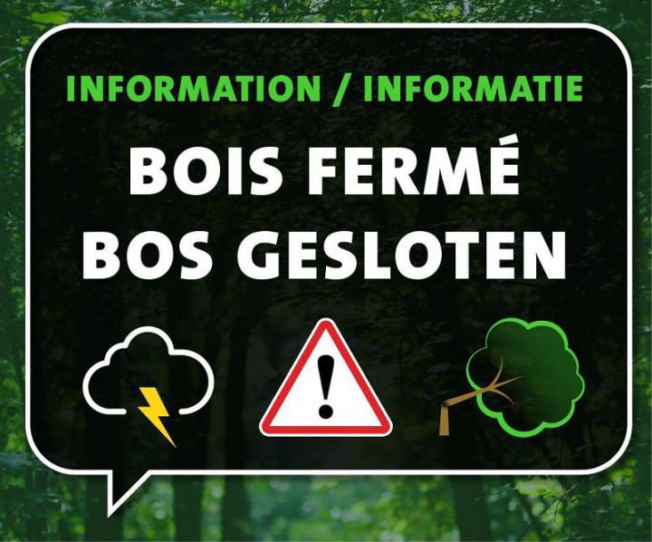 🚨 En raison des conditions météorologiques, le Bois de la Cambre🌳sera fermé à partir de maintenant jusqu’à demain matin #Bruxelles 🚨 Wegens de weersomstandigheden, zal het Terkamerenbos🌳vanaf nu gesloten worden tot morgenvroeg #Brussel