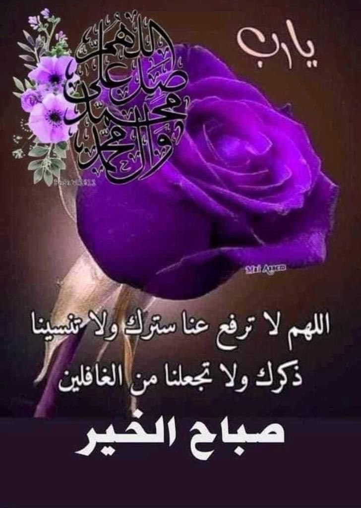 طالبة الغفران (@talebatalgofran) on Twitter photo 