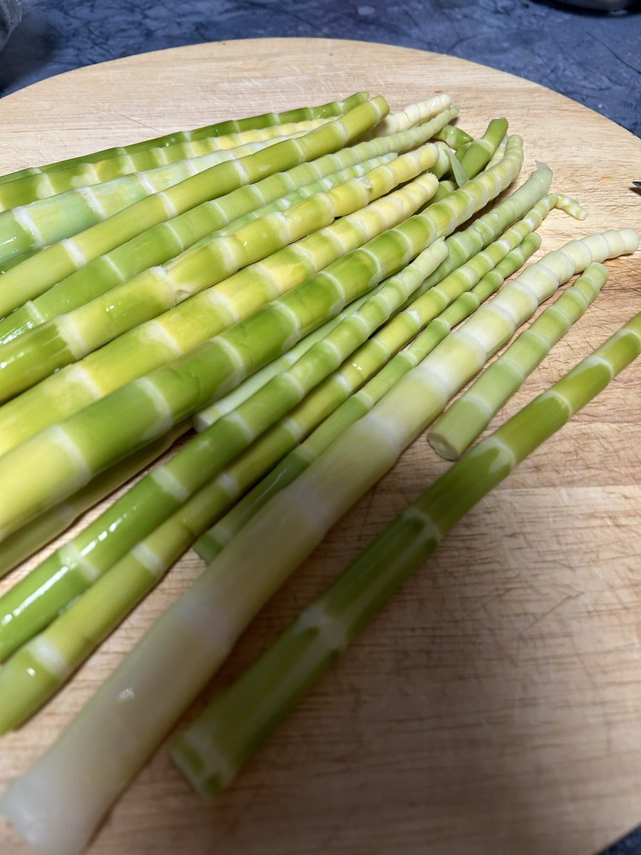 BridgeWeShall's tweet photo. I didn’t miss the opportunity to ask everyone at the table the day I cooked bamboo shoots with leafy greens, “Are you someone who eats shoots and leaves?” All my boys were amused. Happy reunion with an old book. #book #punctuation https://t.co/cL11yT5Vcr