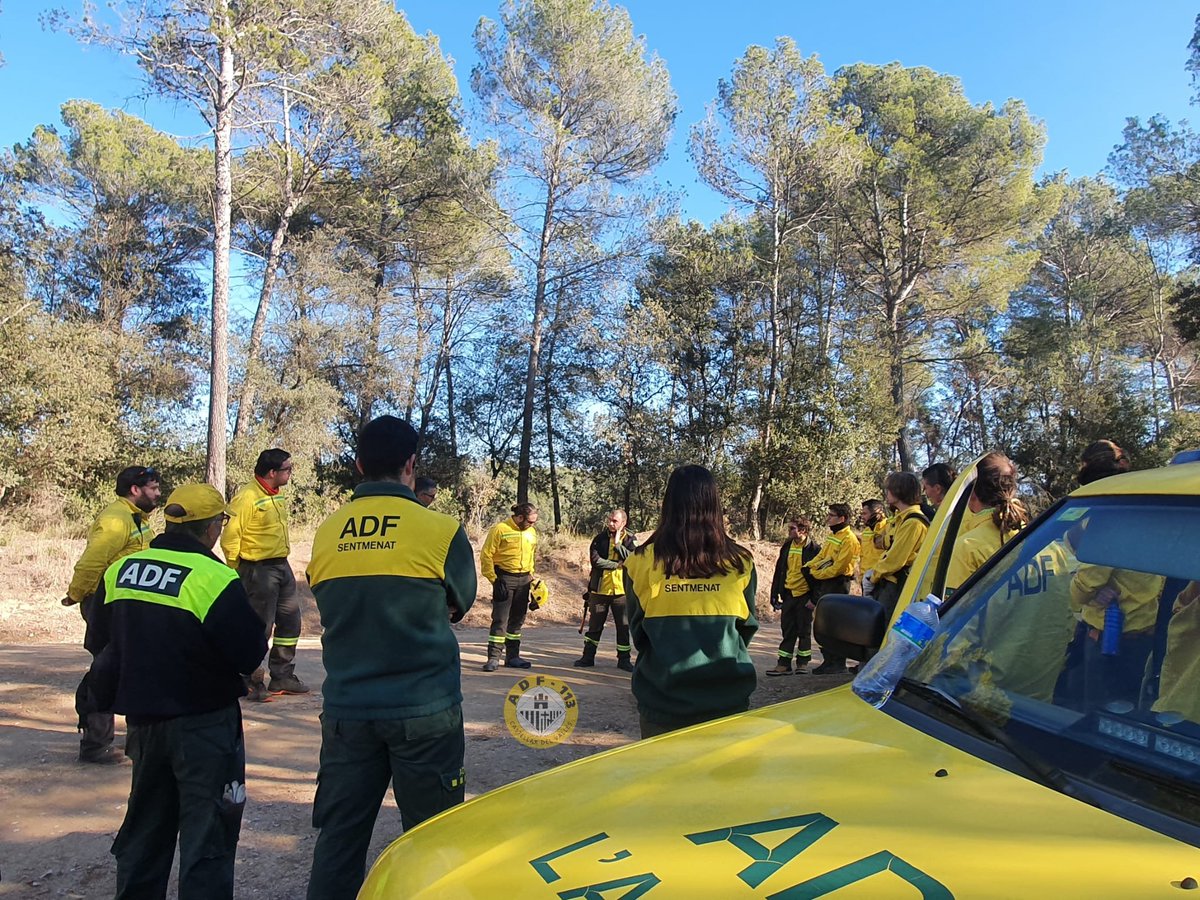 ADF113Castellar's tweet photo. Diumenge de formació📑 Hem començat l'any i les formacions per a la preparació de la campanya de l'estiu 2024����
L'ADF de Sabadell ens ha convidat a compartir la seva formació sobre eines manuals i motoserres🪚
#adfcastellar113 #adf113 #adf #castellardelvalles #fadfvoc #sfadf https://t.co/6T9R0v0jfn