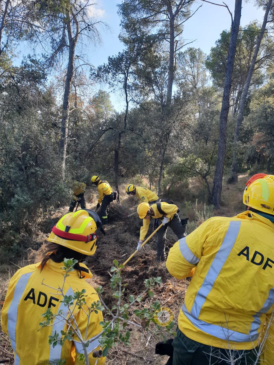 ADF113Castellar's tweet photo. Diumenge de formació📑 Hem començat l'any i les formacions per a la preparació de la campanya de l'estiu 2024����
L'ADF de Sabadell ens ha convidat a compartir la seva formació sobre eines manuals i motoserres🪚
#adfcastellar113 #adf113 #adf #castellardelvalles #fadfvoc #sfadf https://t.co/6T9R0v0jfn