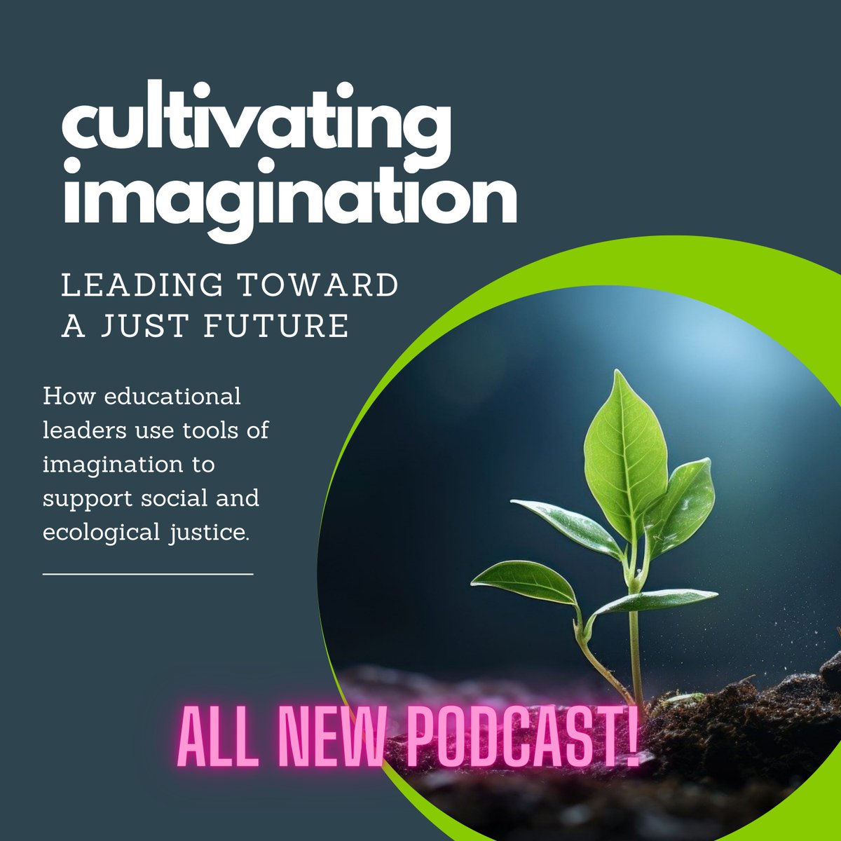 perfinker's tweet image. Episode ONE in the Cultivating Imagination: Leading Toward a Just Future project is entitled &quot;Fostering an Embodied Imagination in Leadership&quot; and features @VidyaShah6 &amp;amp; @jacqueline6219 
Listen here: cultivateimagination.ca/ways-to-help/ Enjoy!
#imaginED #leadership #socialjustice #ecojustice