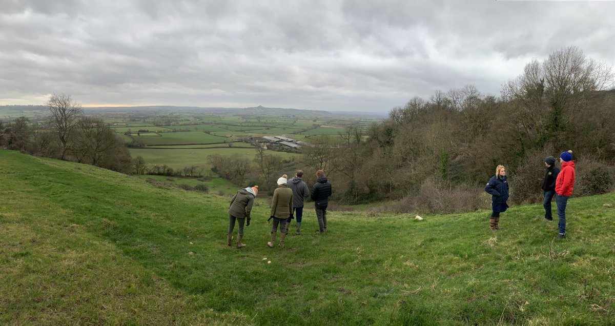 RichMMeredith's tweet photo. @WCFAlumni #CRL2020 reunion. Just what the doctor ordered.
Masterfully and generously hosted by @HoddinottMartin & team in Somerset.
Chat. Cows. Glastonbury. More chat. Walking. Friends. #rocketman. https://t.co/D4S91YKAVc