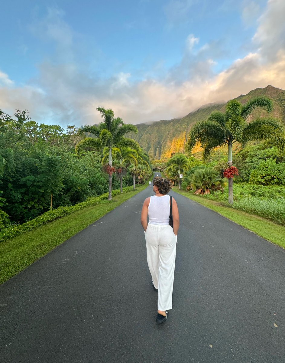 briansmith_05's tweet image. 📍Ho’omaluhia Botanical Garden, HI 🌺